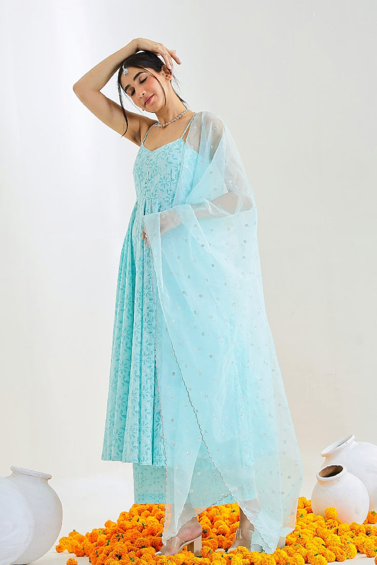 Sky Blue Suit Set with Organza Dupatta