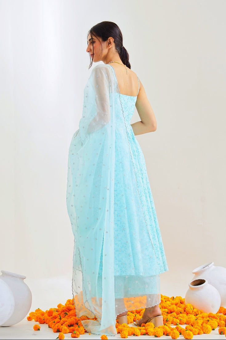 Sky Blue Suit Set with Organza Dupatta