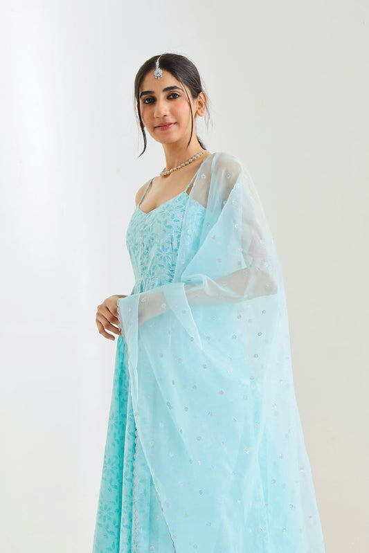 Sky Blue Suit Set with Organza Dupatta